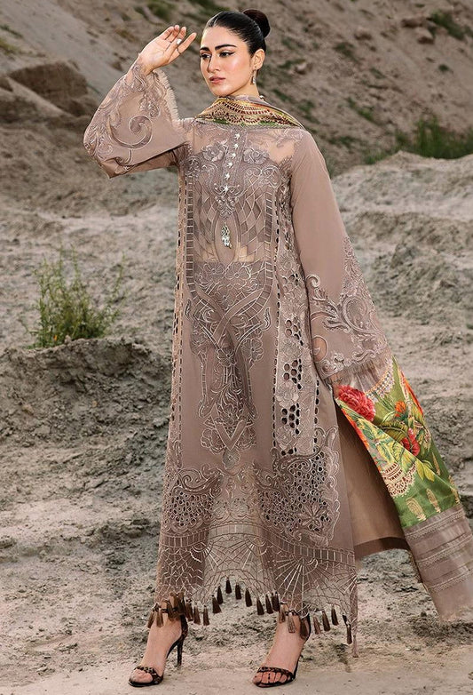 Bin Ilyas Chikankari Lawn Collection