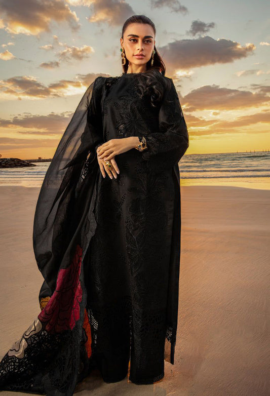 Rang Rasiya Chikankari Collection