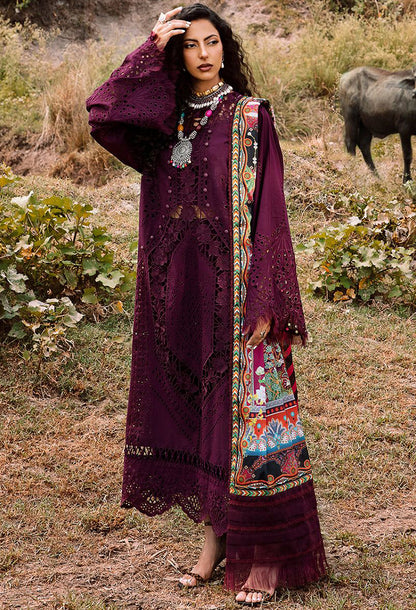 Bin Ilyas Chikankari Lawn Collection
