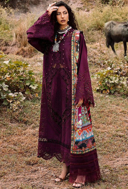 Bin Ilyas Chikankari Lawn Collection