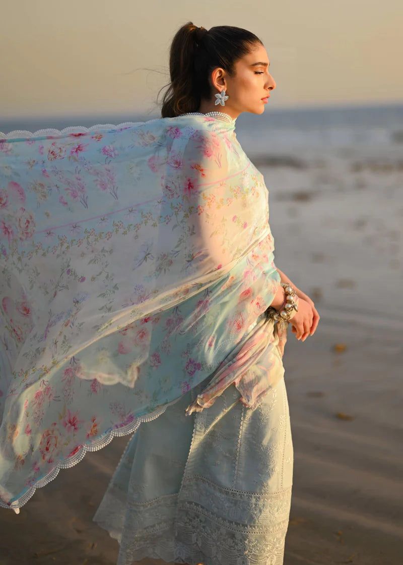 Zaib By Nimsay Chikankari Collection