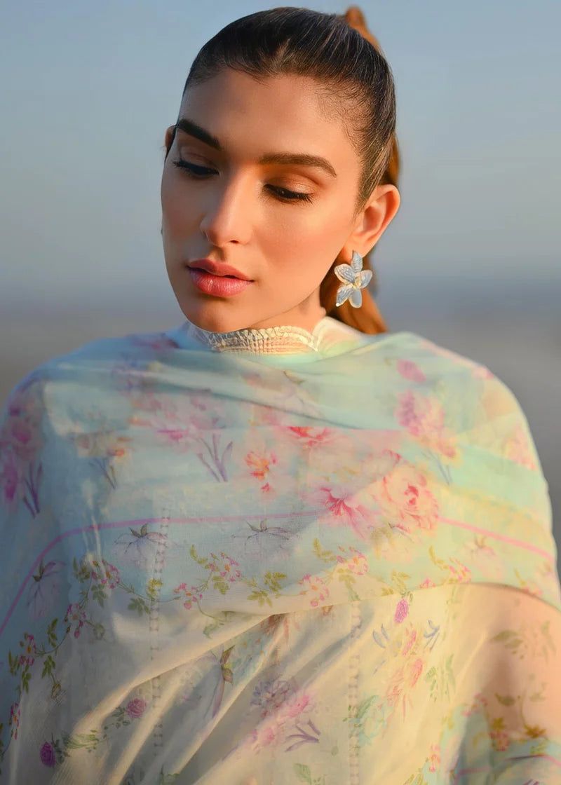 Zaib By Nimsay Chikankari Collection