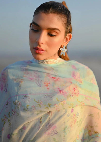 Zaib By Nimsay Chikankari Collection