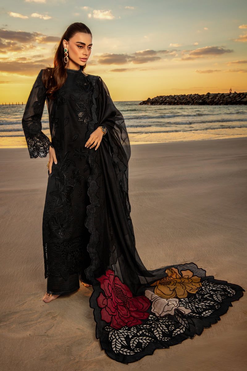 Rang Rasiya Chikankari Collection