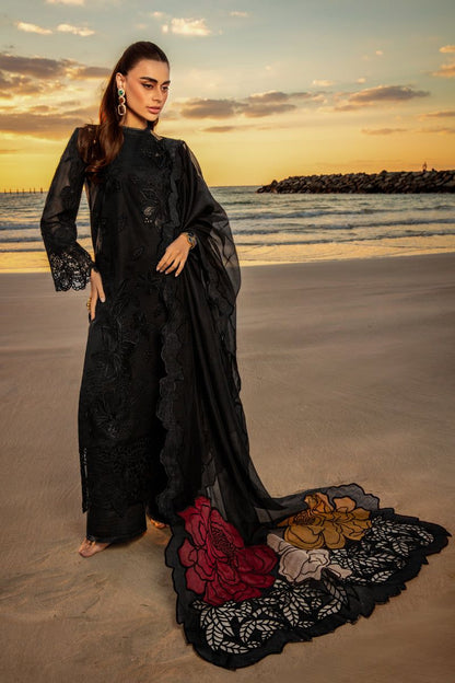 Rang Rasiya Chikankari Collection