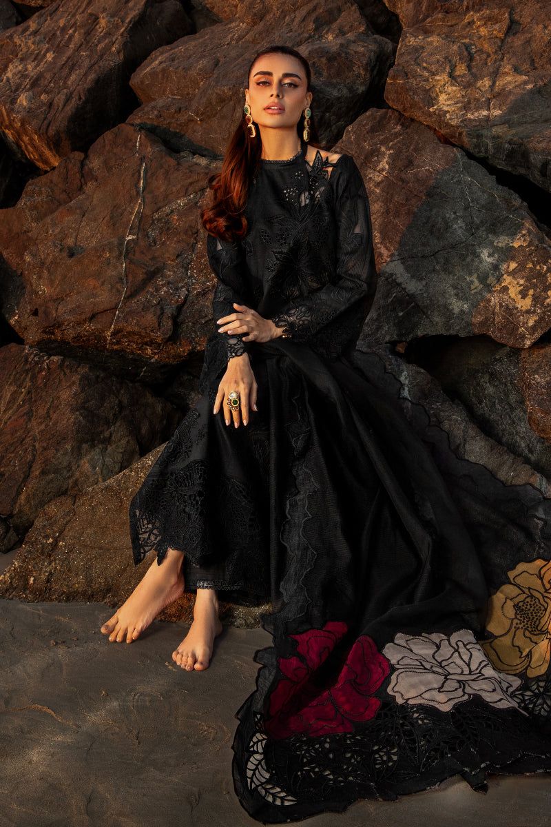 Rang Rasiya Chikankari Collection