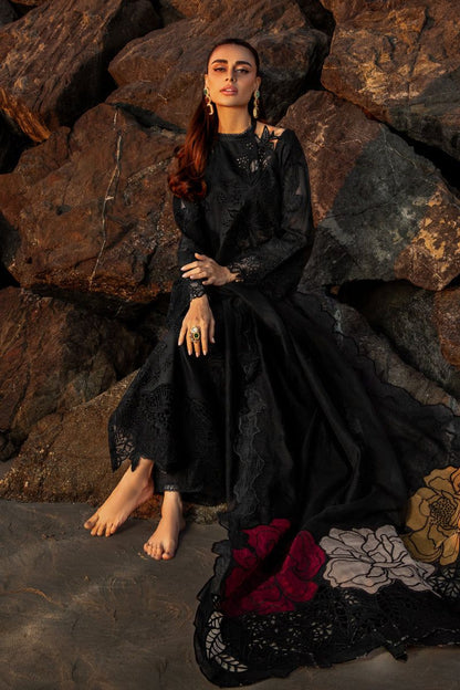 Rang Rasiya Chikankari Collection