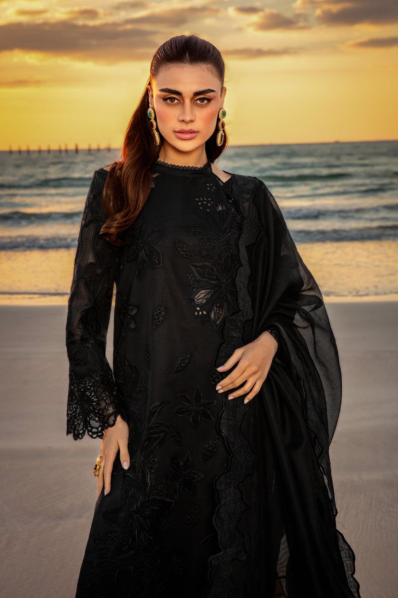 Rang Rasiya Chikankari Collection