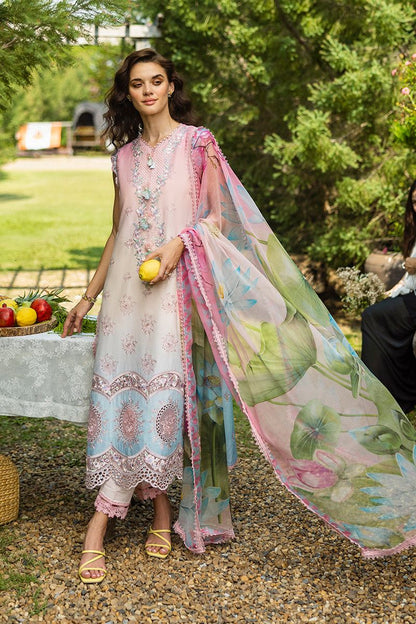 Mushq Chikankari Lawn Collection